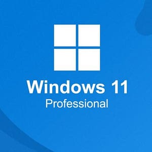 Windows 11 Professional License key